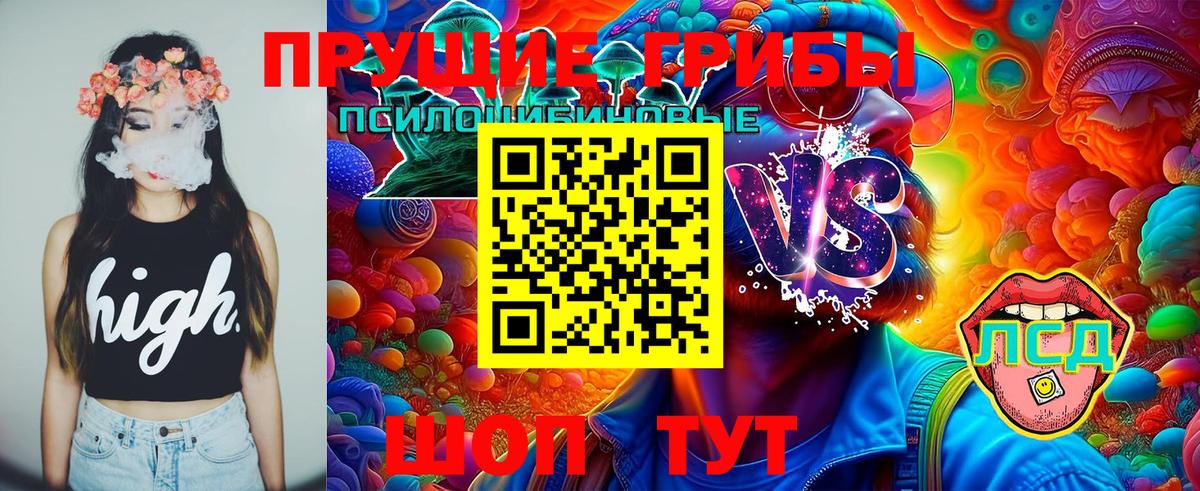 Галлюциногенные грибы Psilocybe Благовещенск