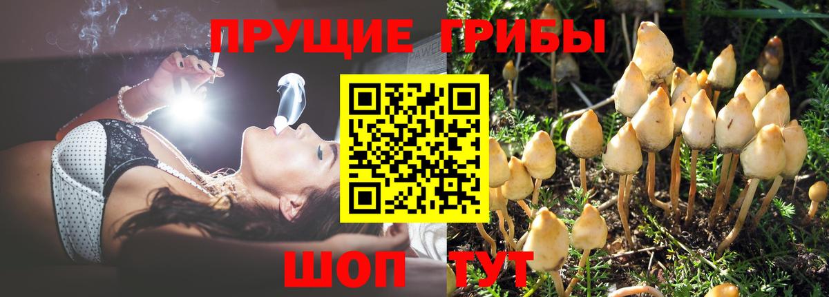 Галлюциногенные грибы ЛСД  Вход с VPN  Благовещенск 