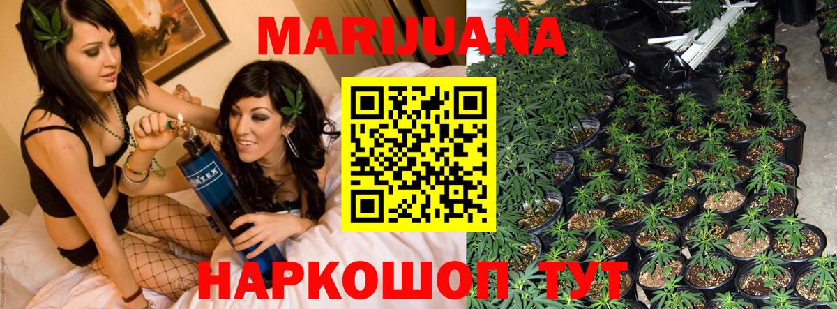 Каннабис план Благовещенск